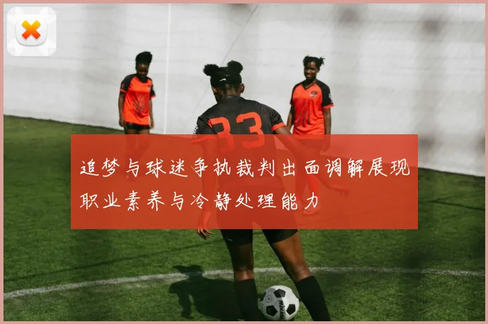 追梦与球迷争执裁判出面调解展现职业素养与冷静处理能力